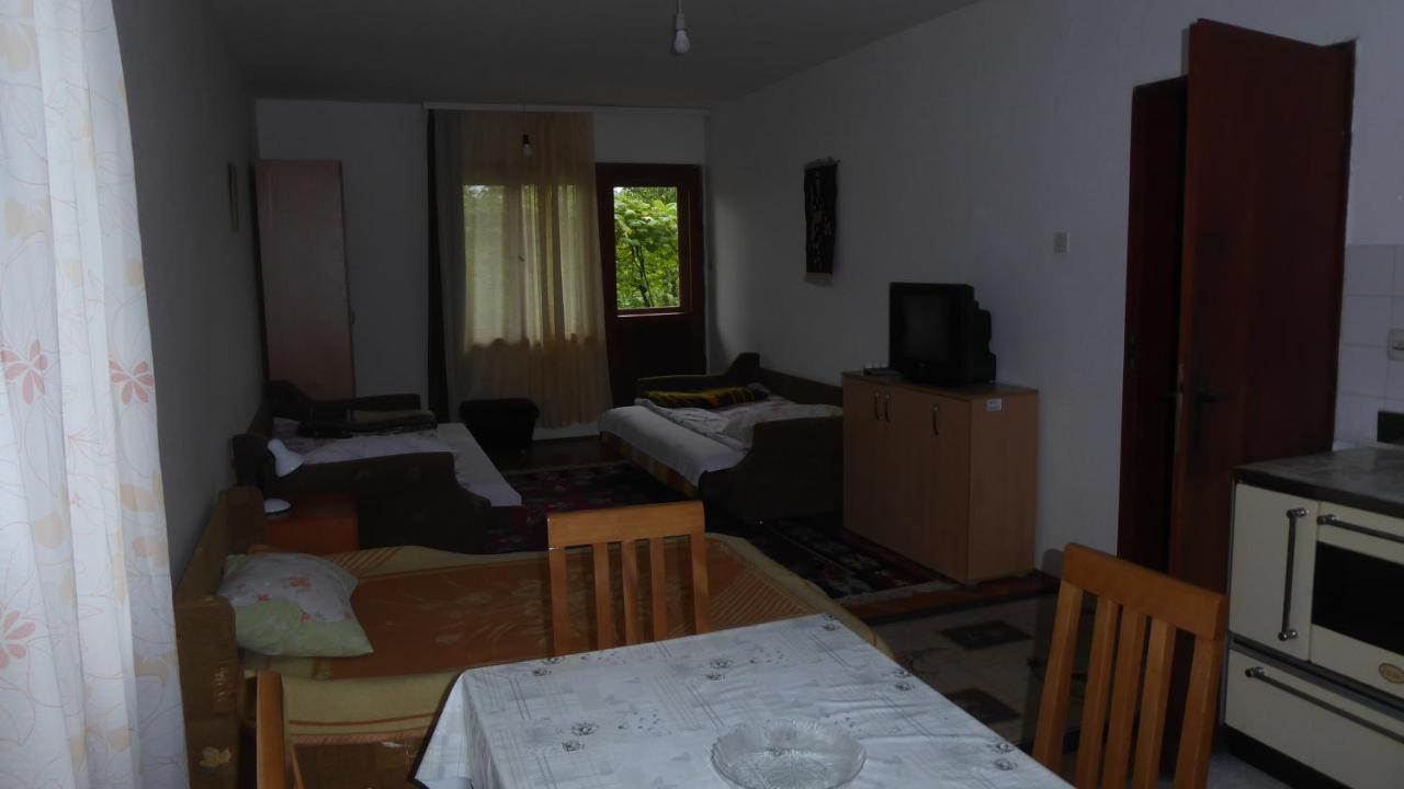 Guest House Pribojska Banja Экстерьер фото