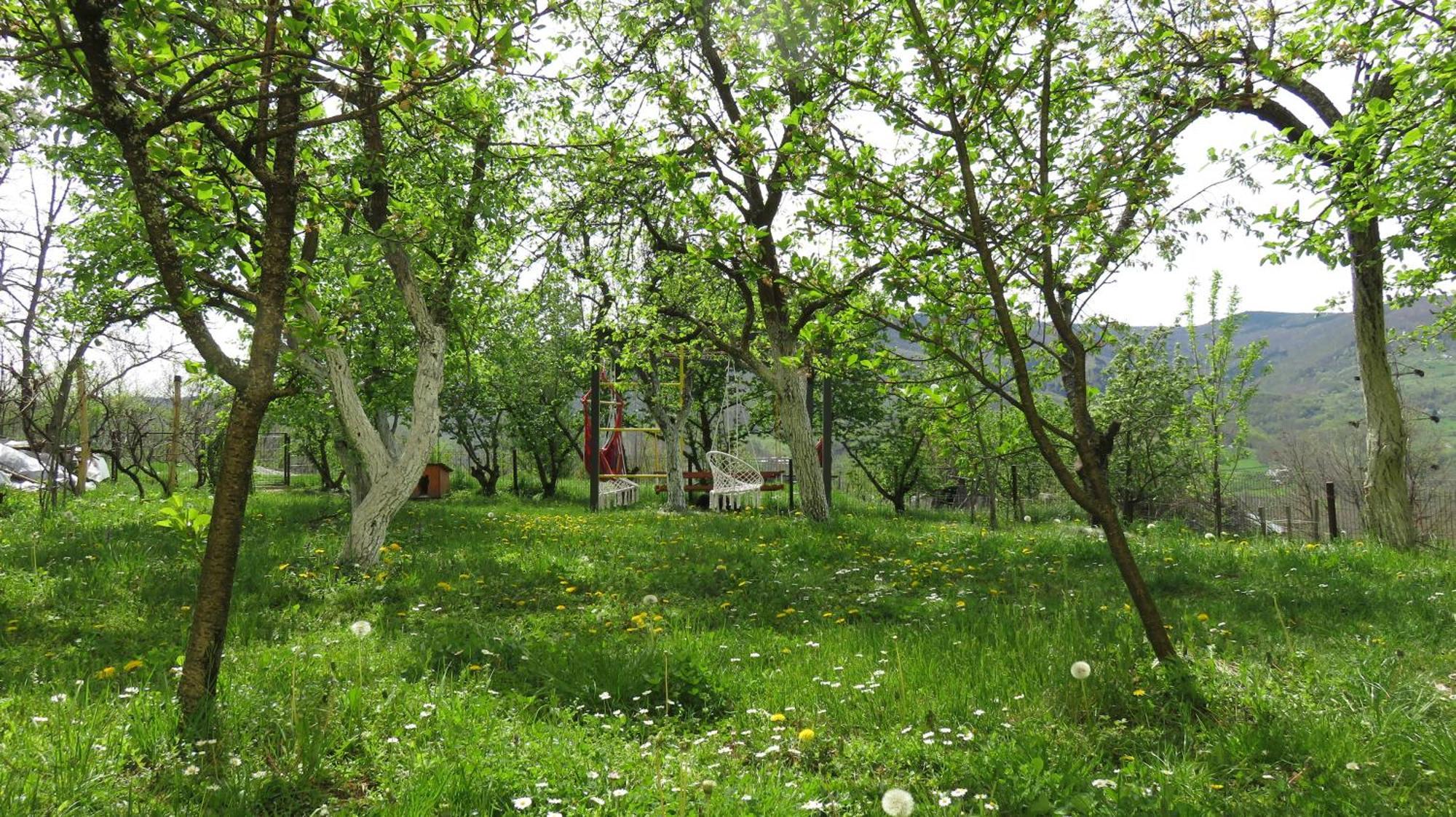 Guest House Pribojska Banja Экстерьер фото