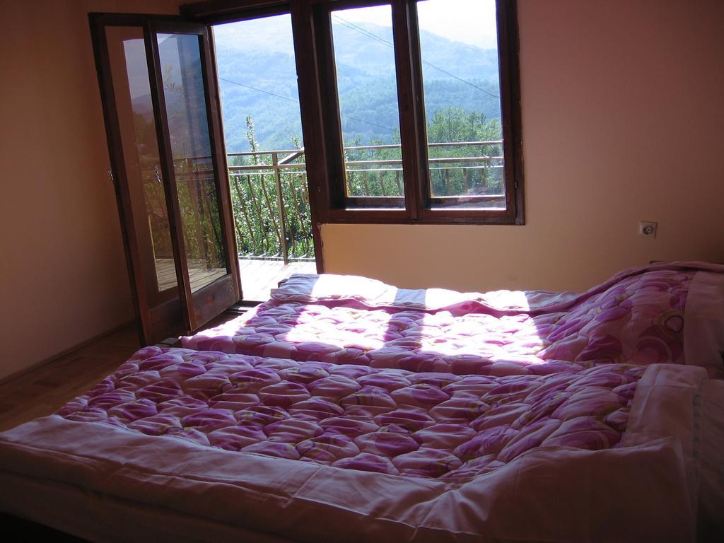 Guest House Pribojska Banja Экстерьер фото