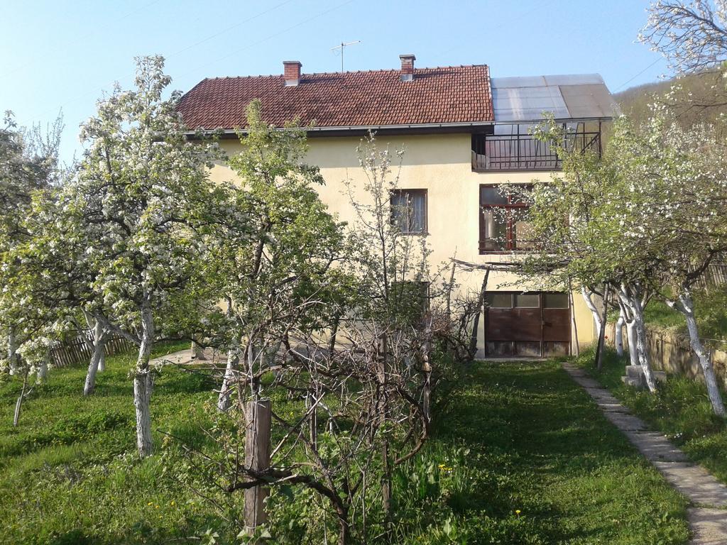 Guest House Pribojska Banja Экстерьер фото